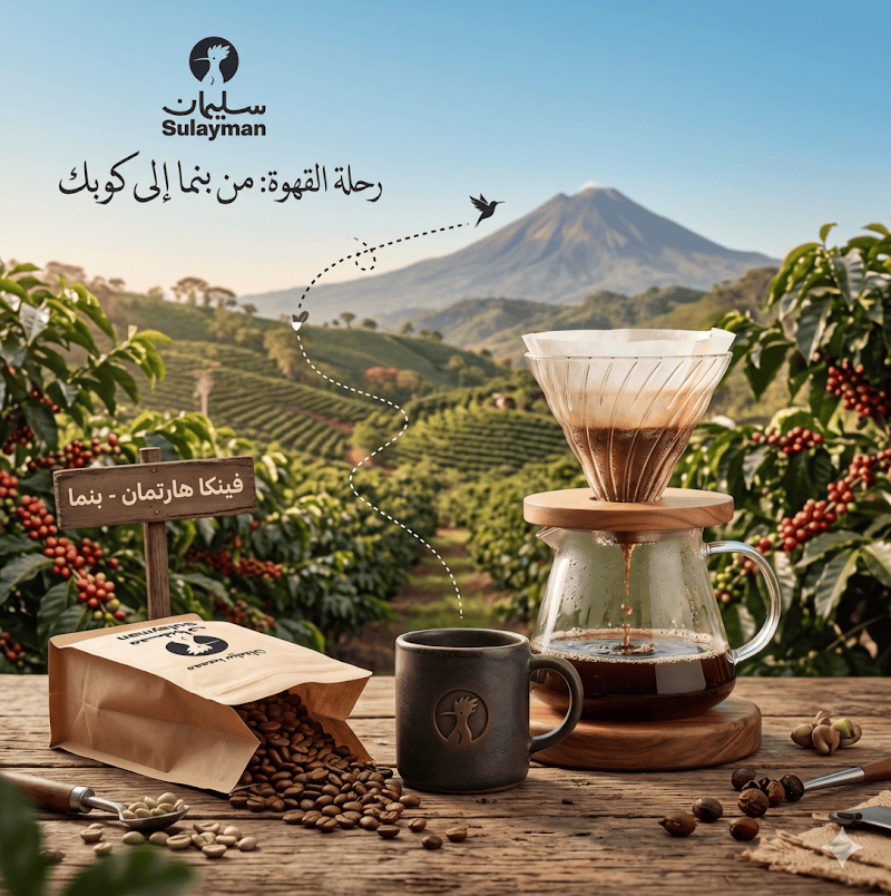 رحلة القهوة.. من مزارع بنما إلى كوبك